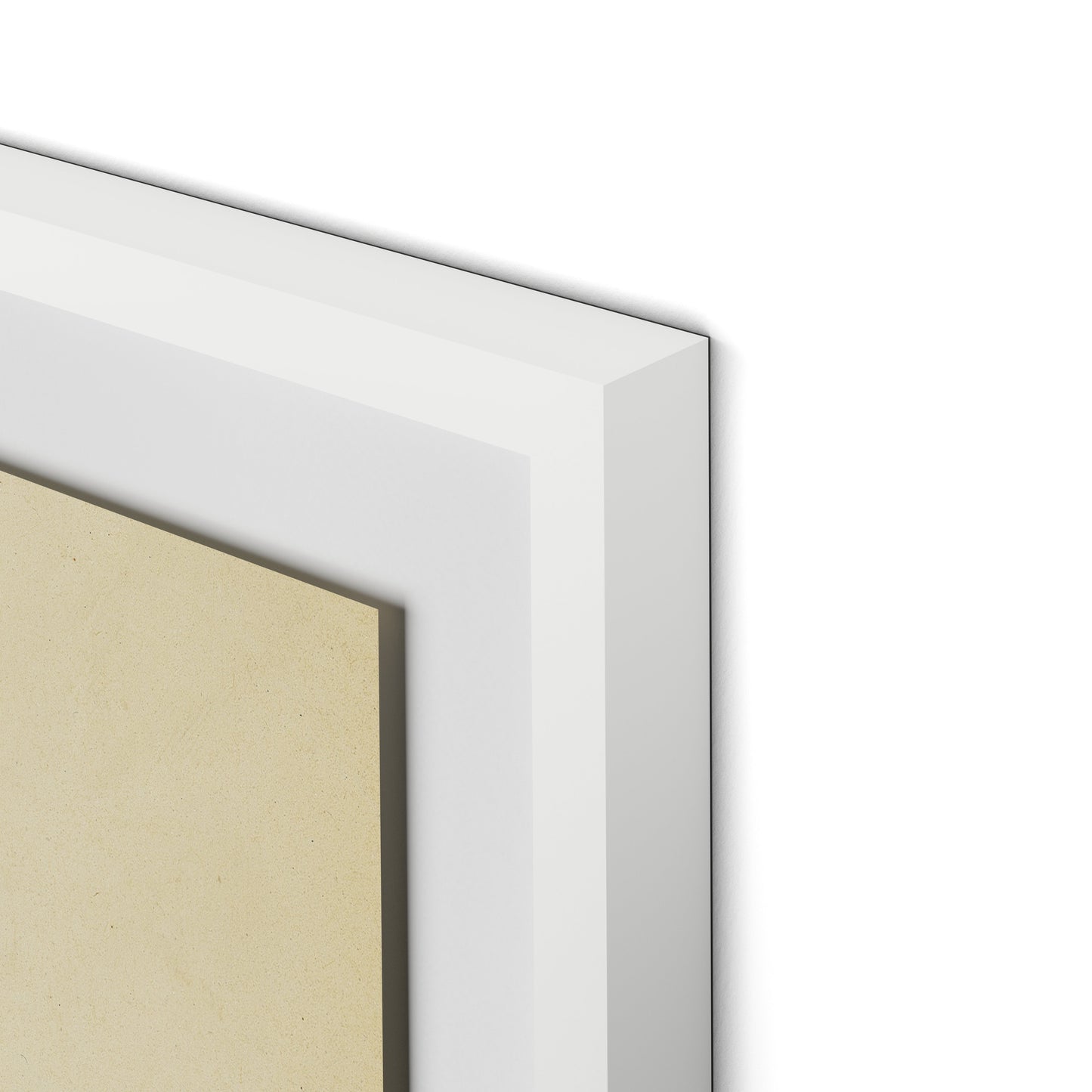 Indigo Meadow Rue Framed Paper / 27 x 32 in / White