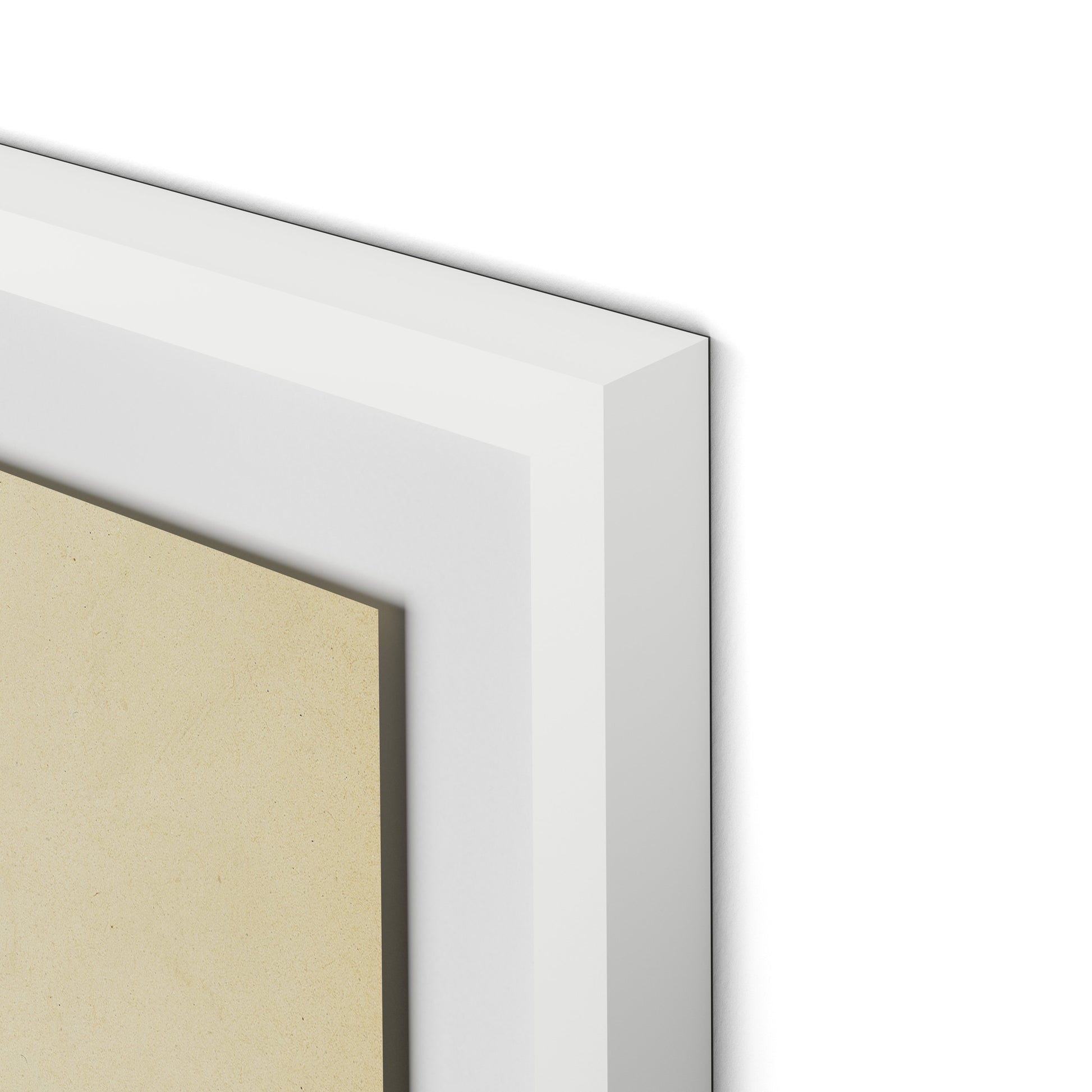 Indigo Meadow Rue Framed Paper / 27 x 32 in / White