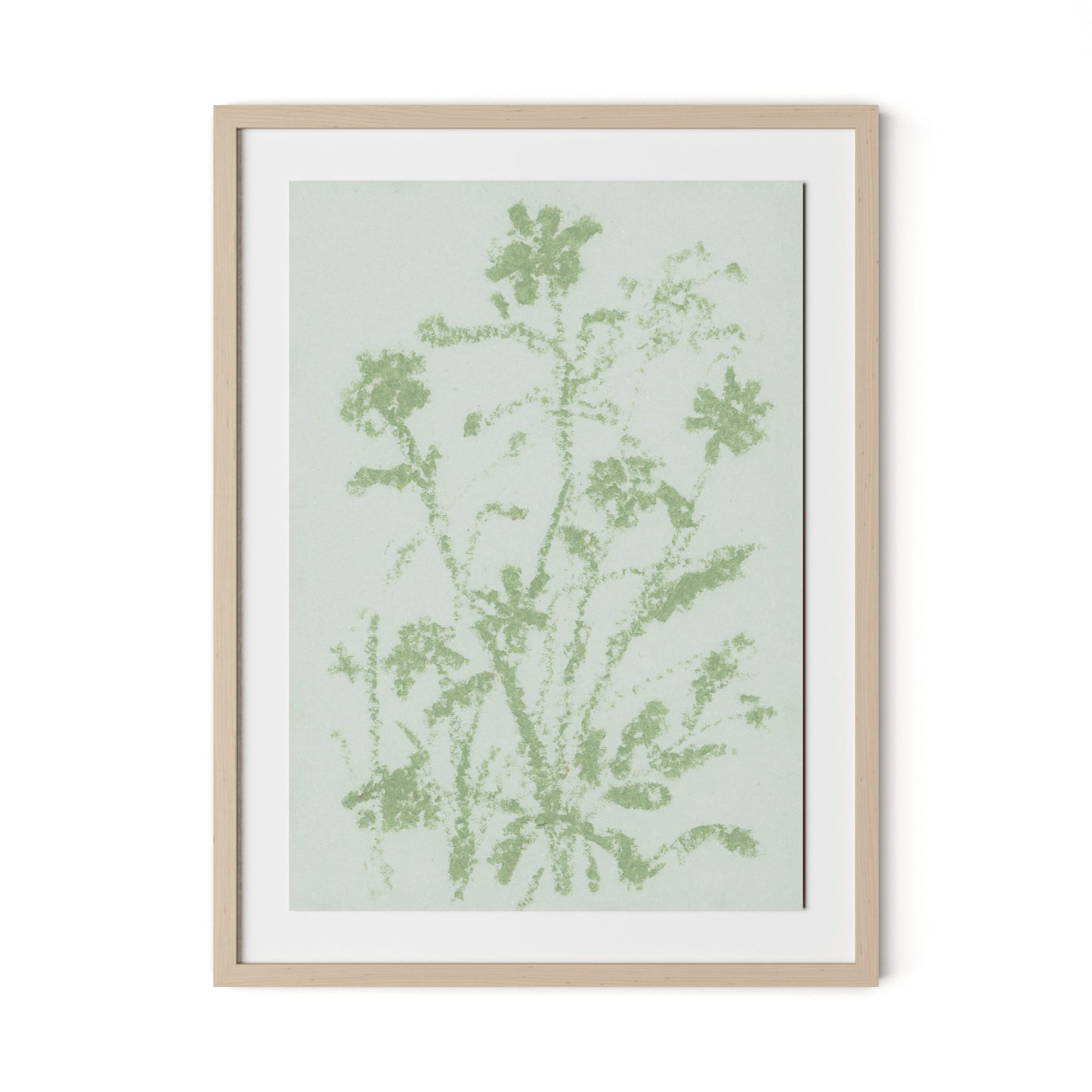 Sage Cosmos Framed Paper / 24 x 32 in / Natural Maple