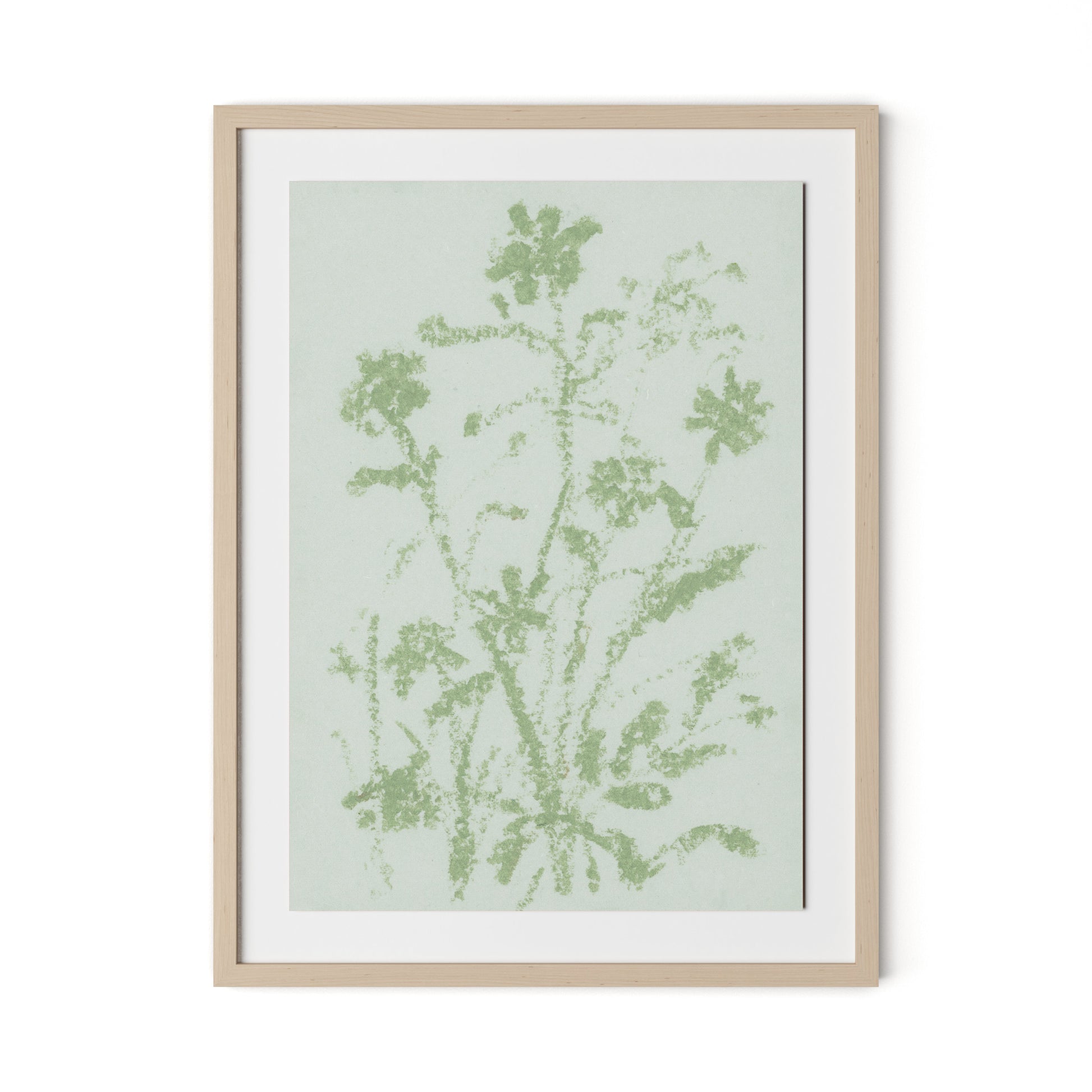 Sage Cosmos Framed Paper / 24 x 32 in / Natural Maple
