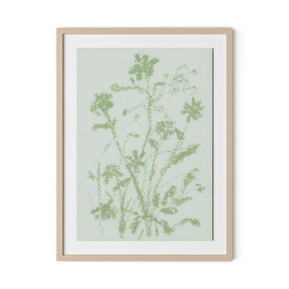 Sage Cosmos Framed Paper / 24 x 32 in / Natural Maple