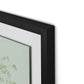 Sage Cosmos Framed Paper / 24 x 32 in / Black