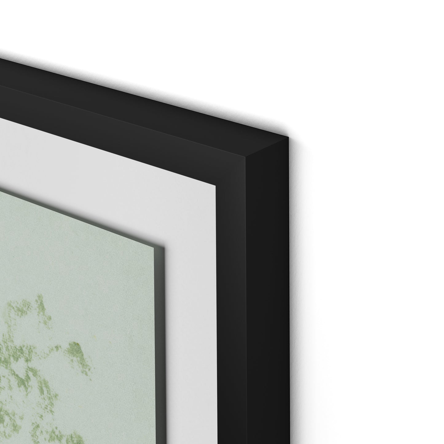 Sage Cosmos Framed Paper / 24 x 32 in / Black