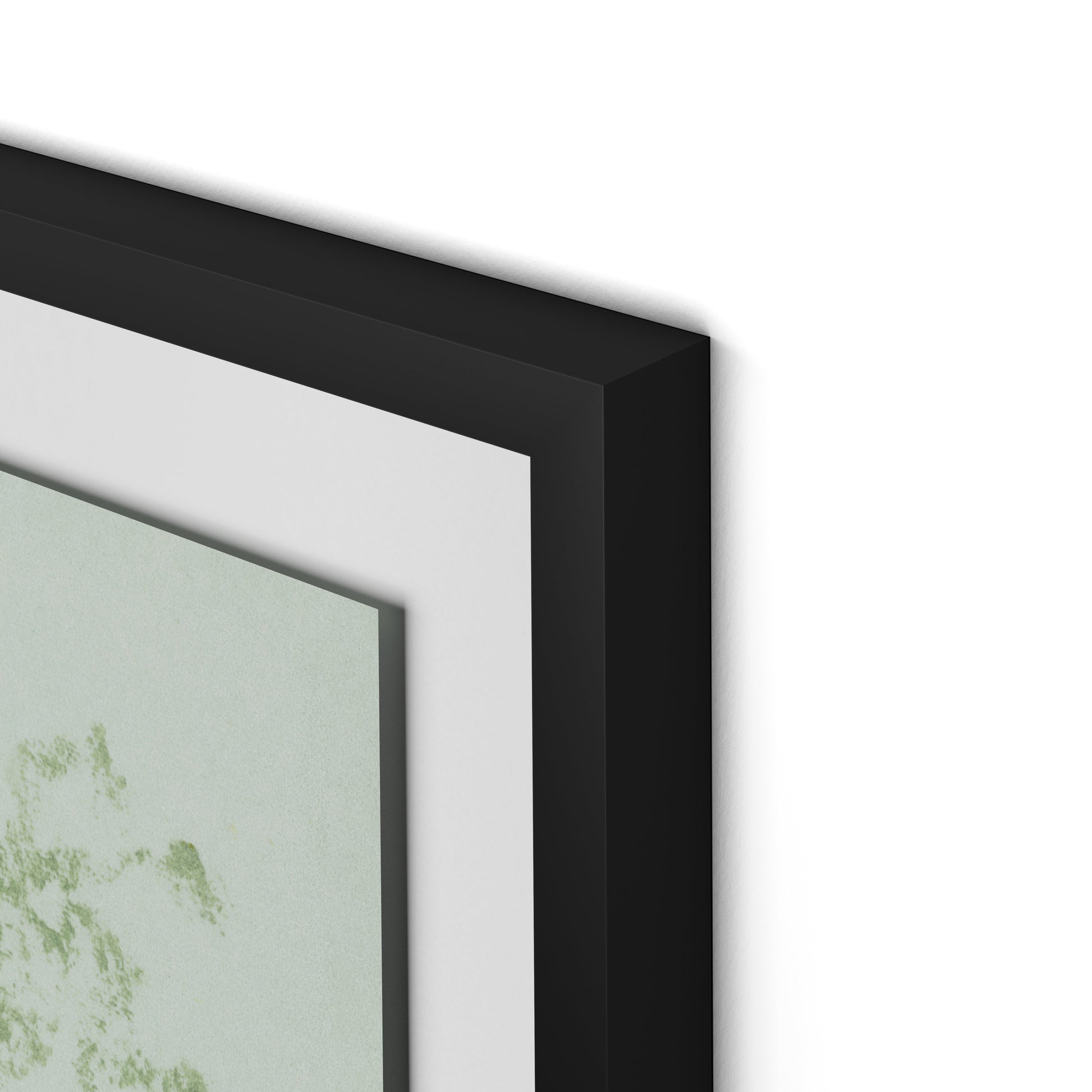 Sage Cosmos Framed Paper / 24 x 32 in / Black