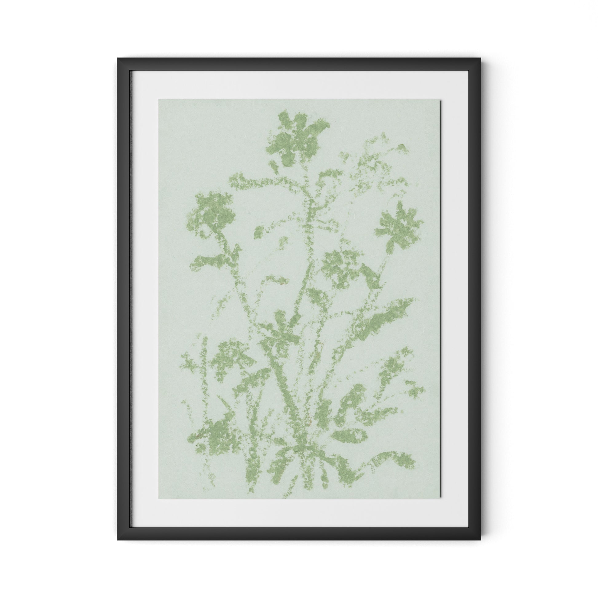 Sage Cosmos Framed Paper / 24 x 32 in / Black