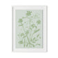 Sage Cosmos Framed Paper / 24 x 32 in / White