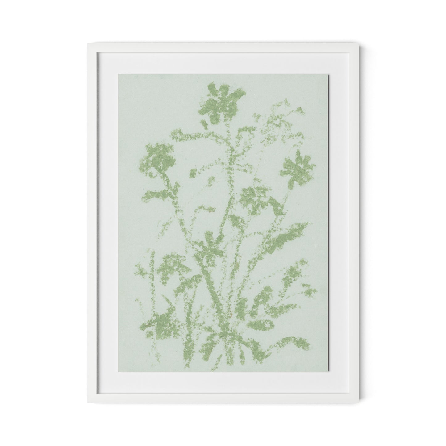 Sage Cosmos Framed Paper / 24 x 32 in / White