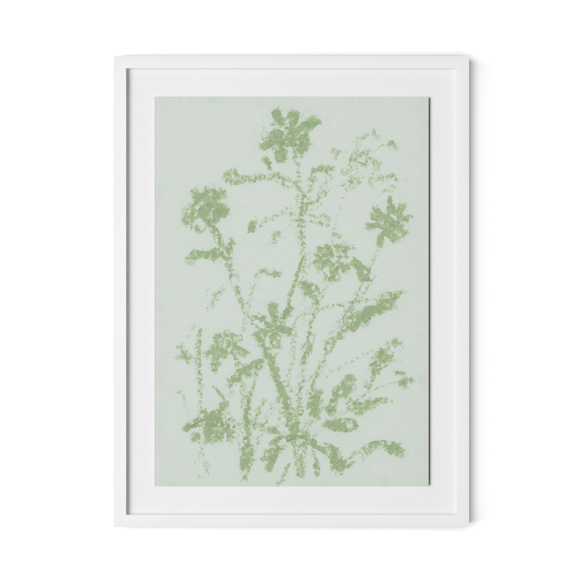Sage Cosmos Framed Paper / 24 x 32 in / White