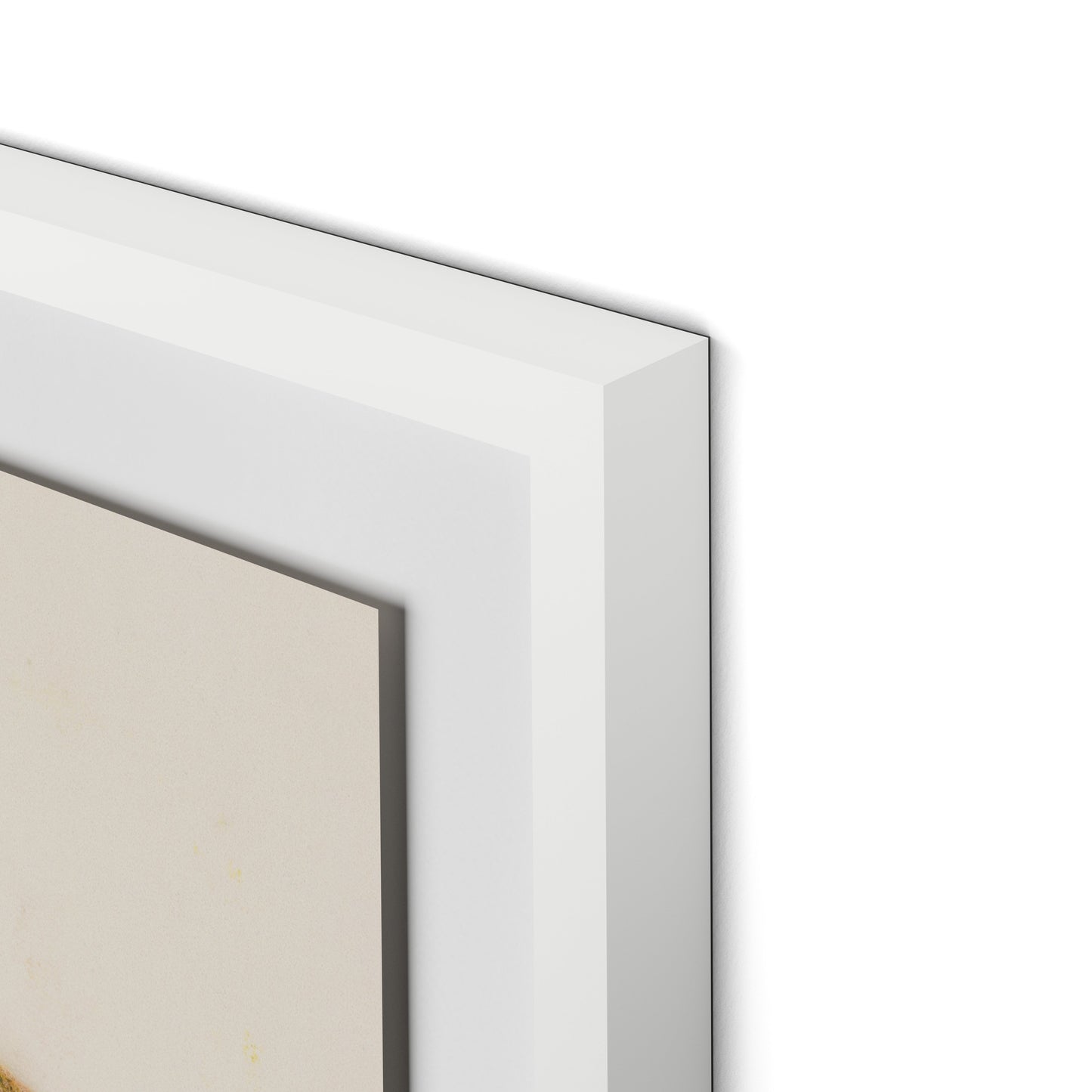 Pink Alpine Flax Framed Paper / 24 x 32 in / White