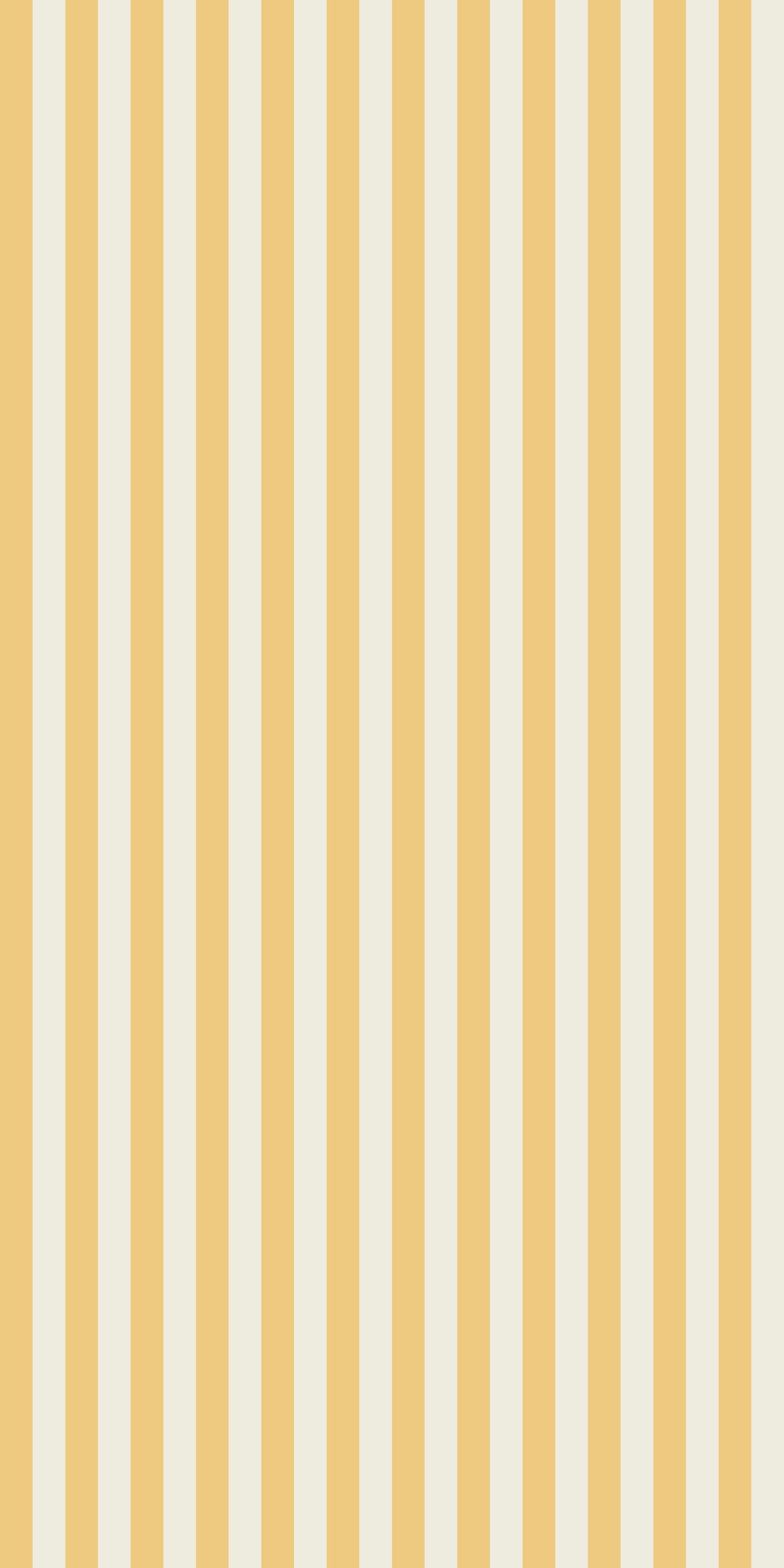 Classic Stripe