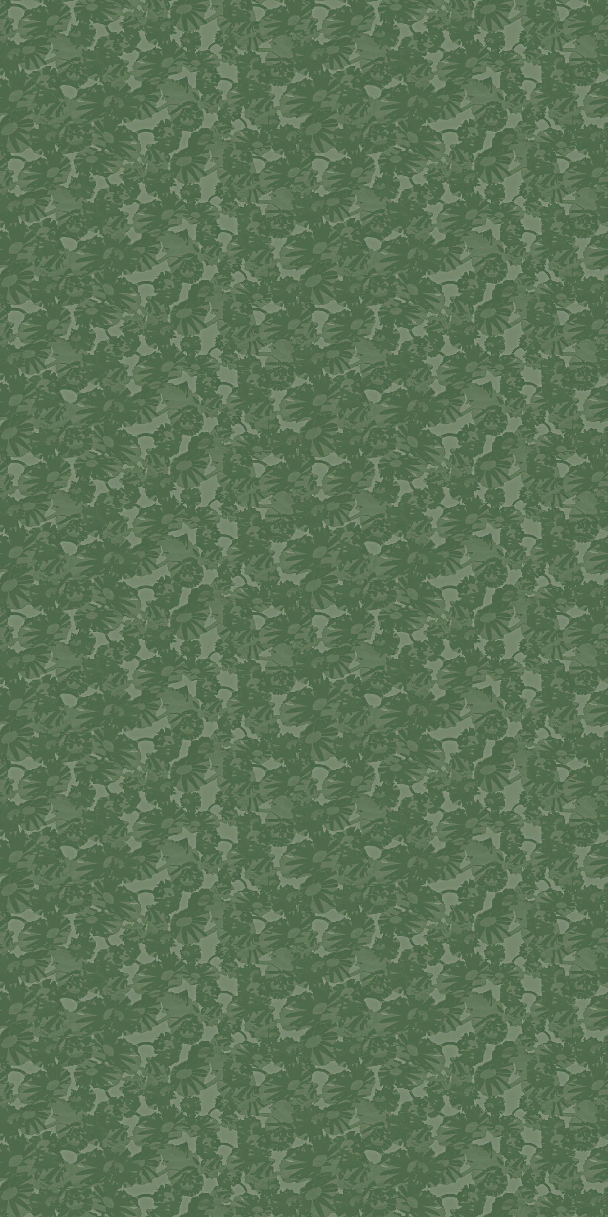 Flora Wallpaper in Forest