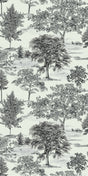 Black and White A -- 626360