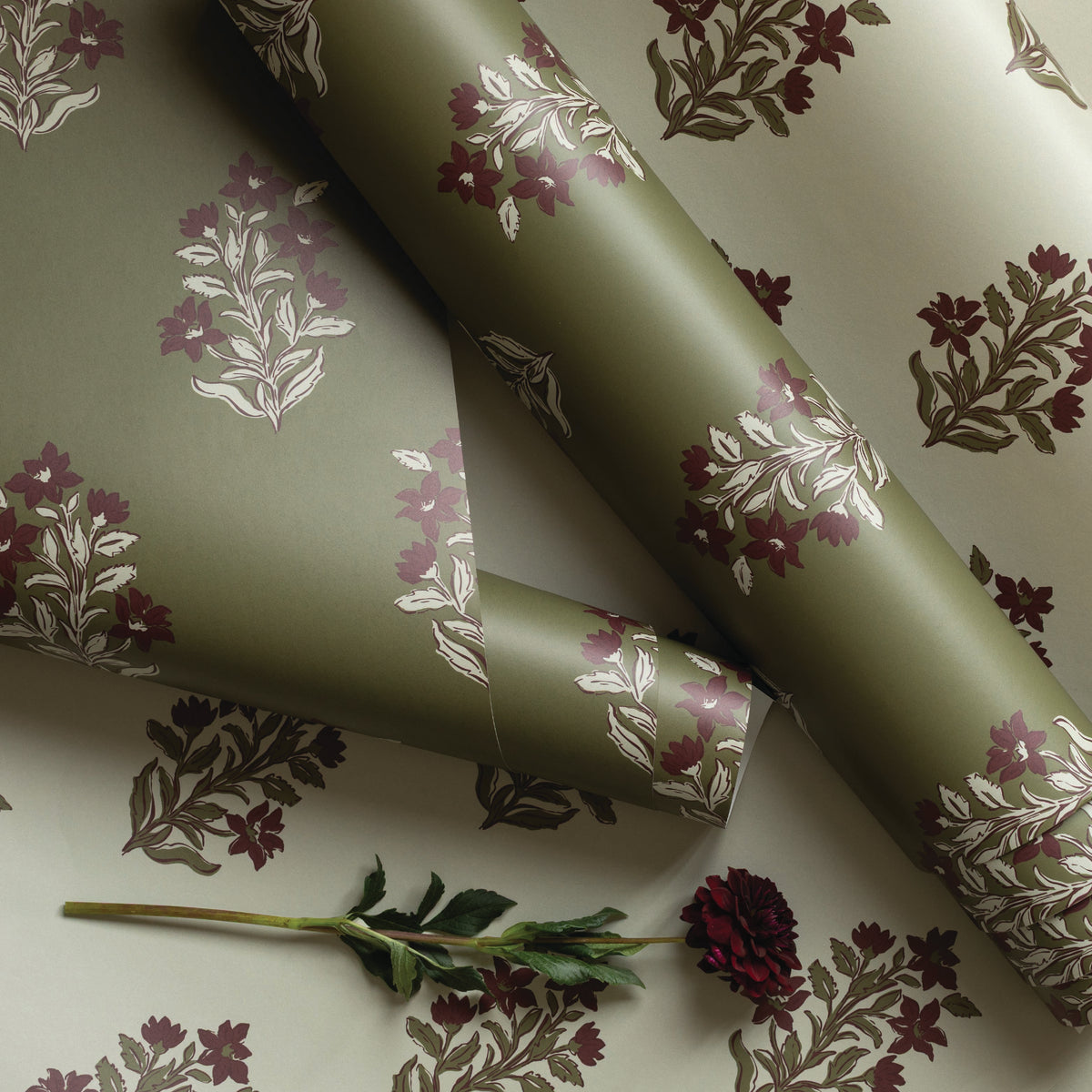 Parchment, spruce