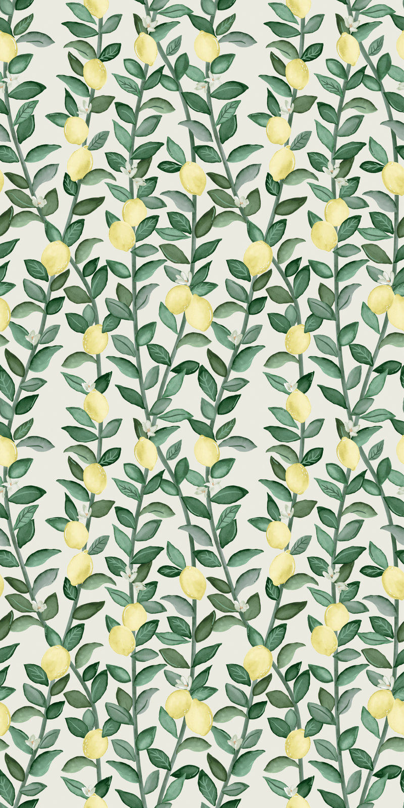Lemons in Daytime color