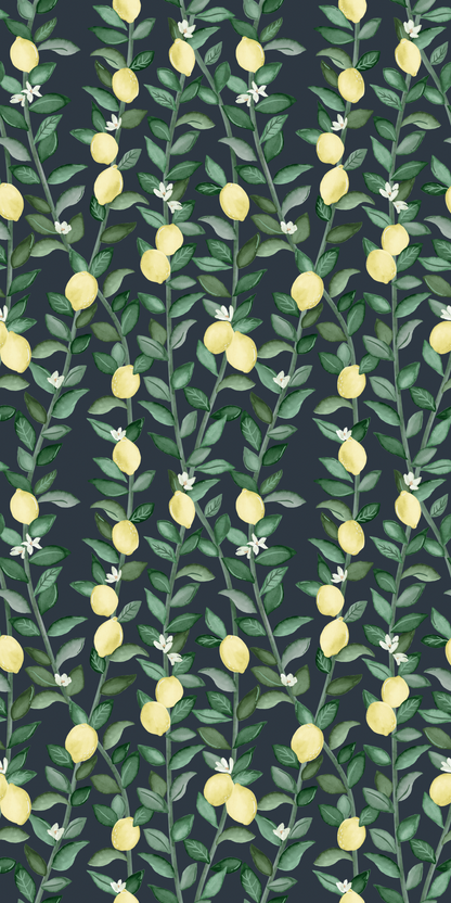 Image of Lemons in Nighttime wallpaper