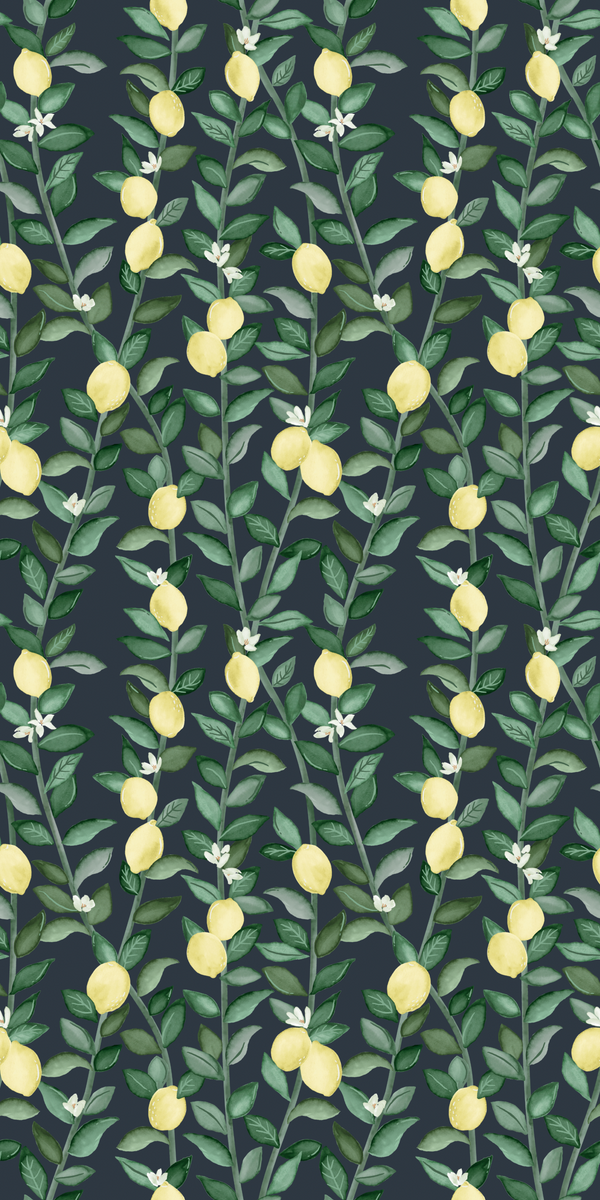 Lemons – Chasing Paper