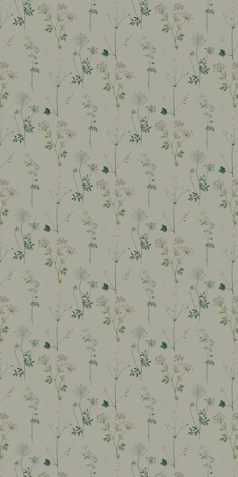 Lace in Sage color