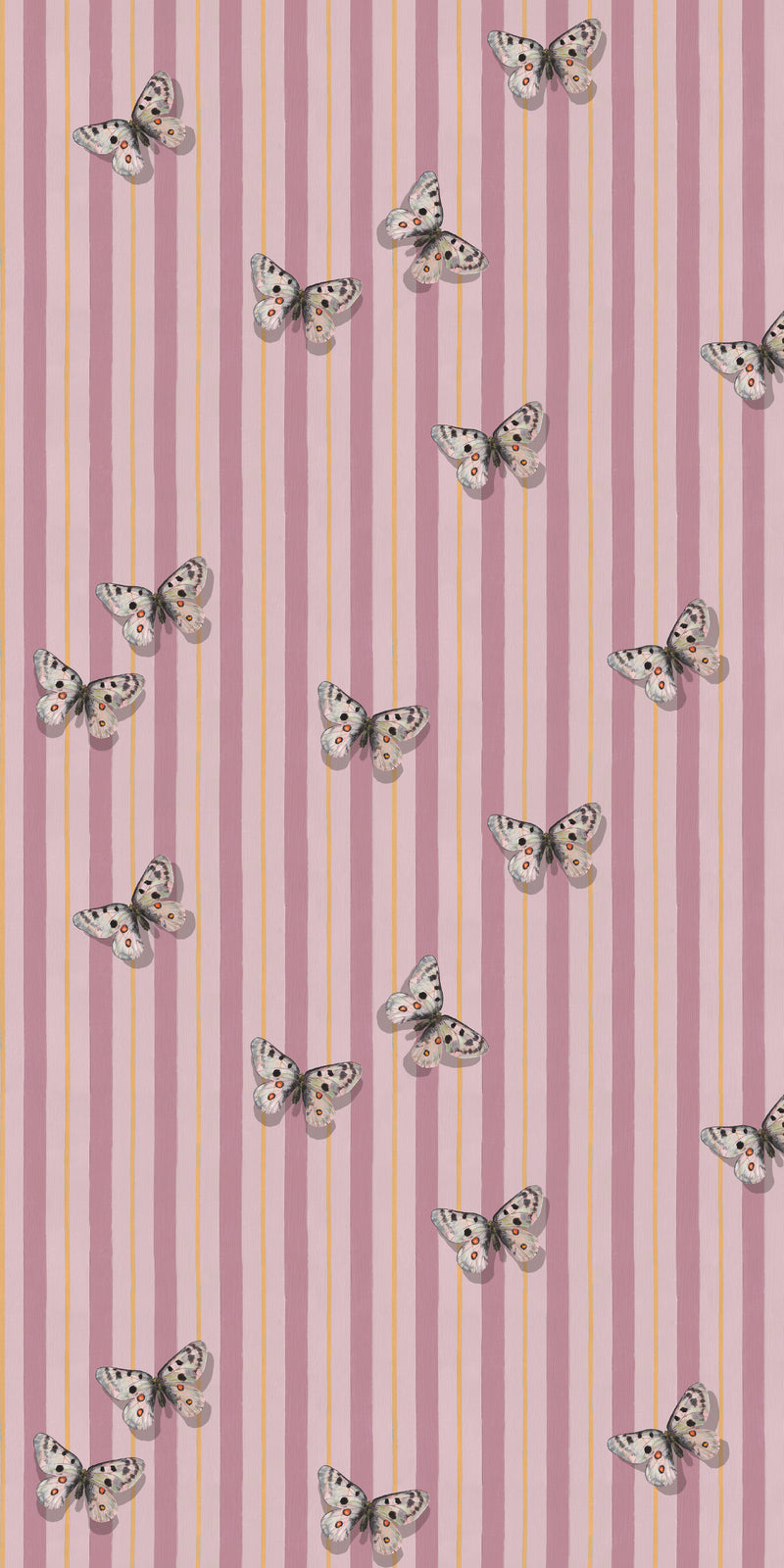 Mountain Apollo in Pink color