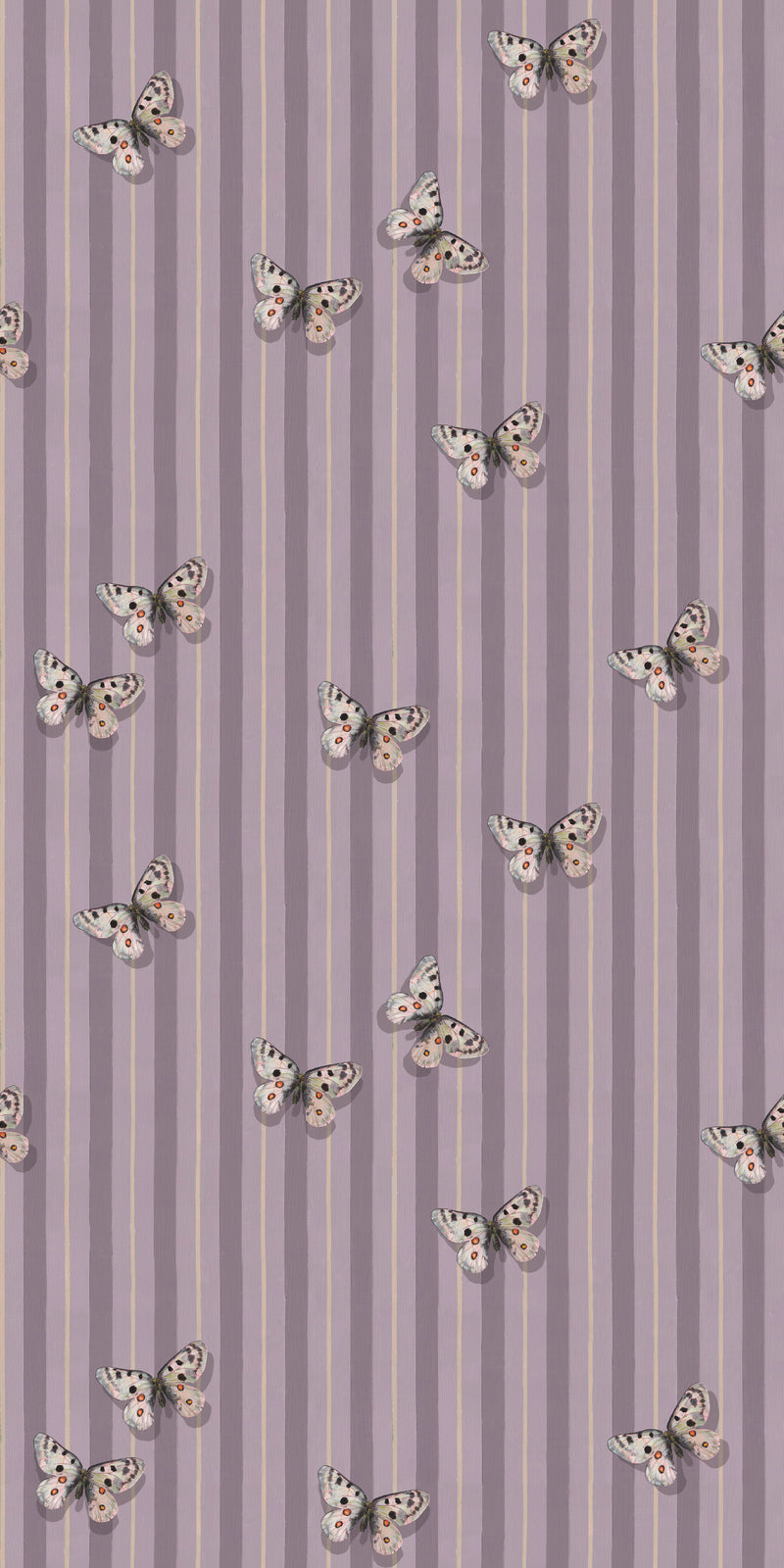 Mountain Apollo in Purple color