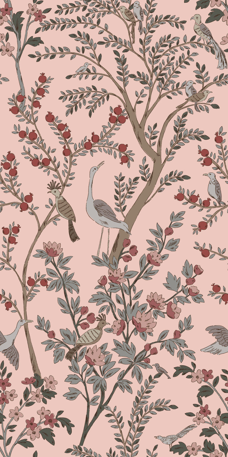 Paradis in Petal color