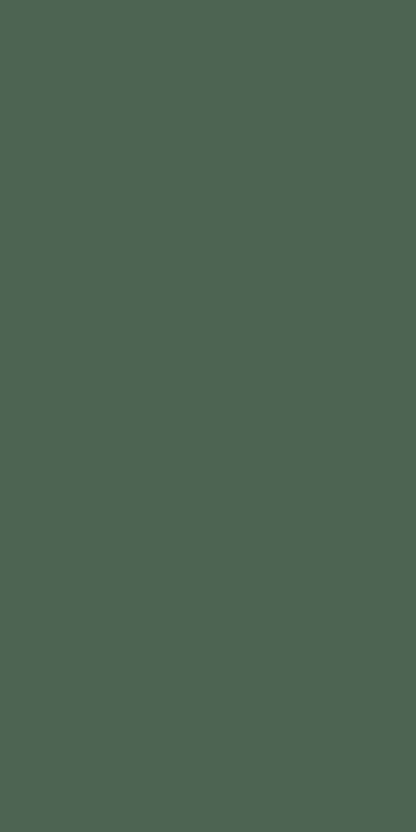 Image of Pine in Pine Wallpaper