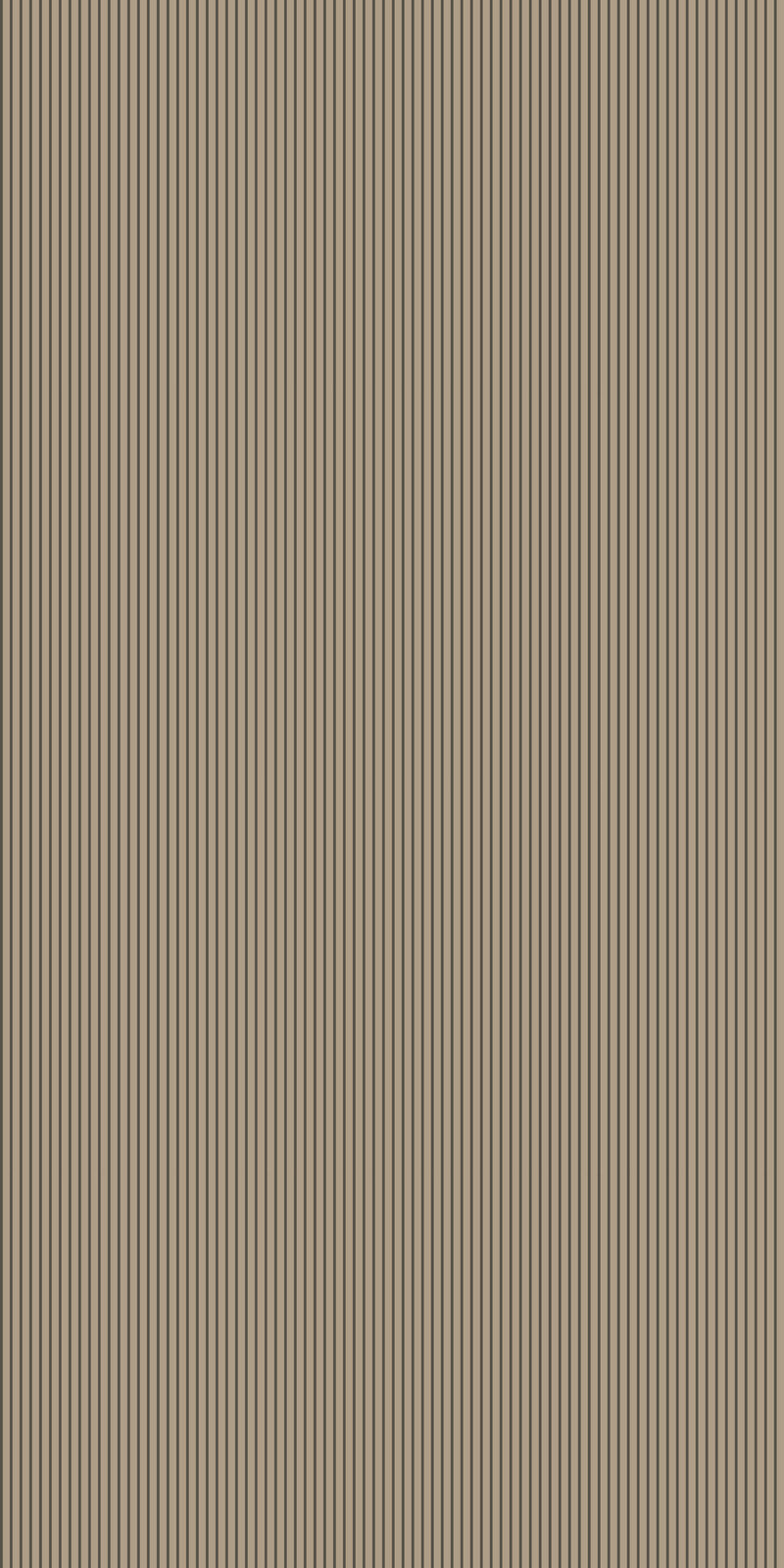 Rah Stripe in Earth color