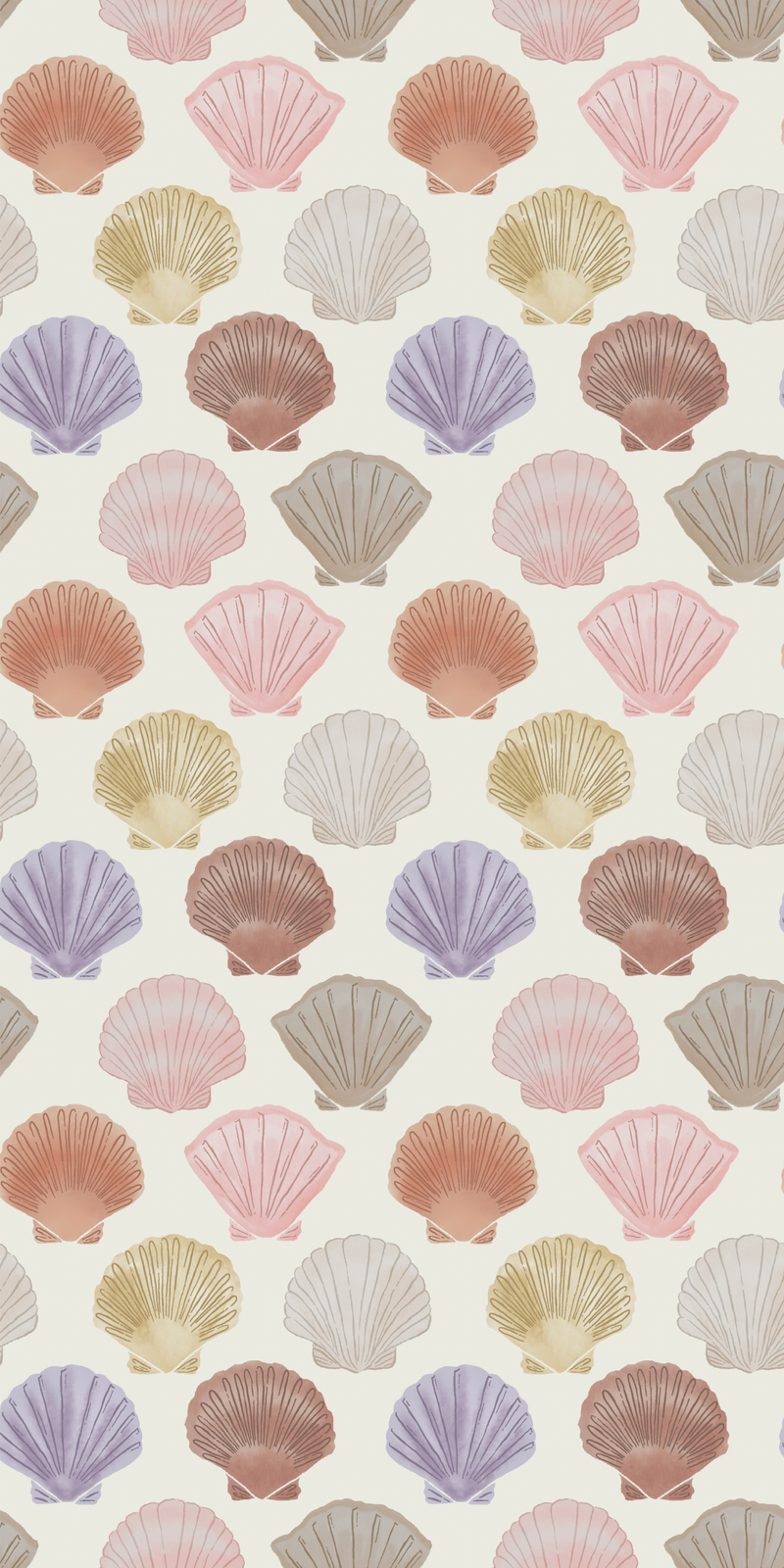 Shells in Multi color