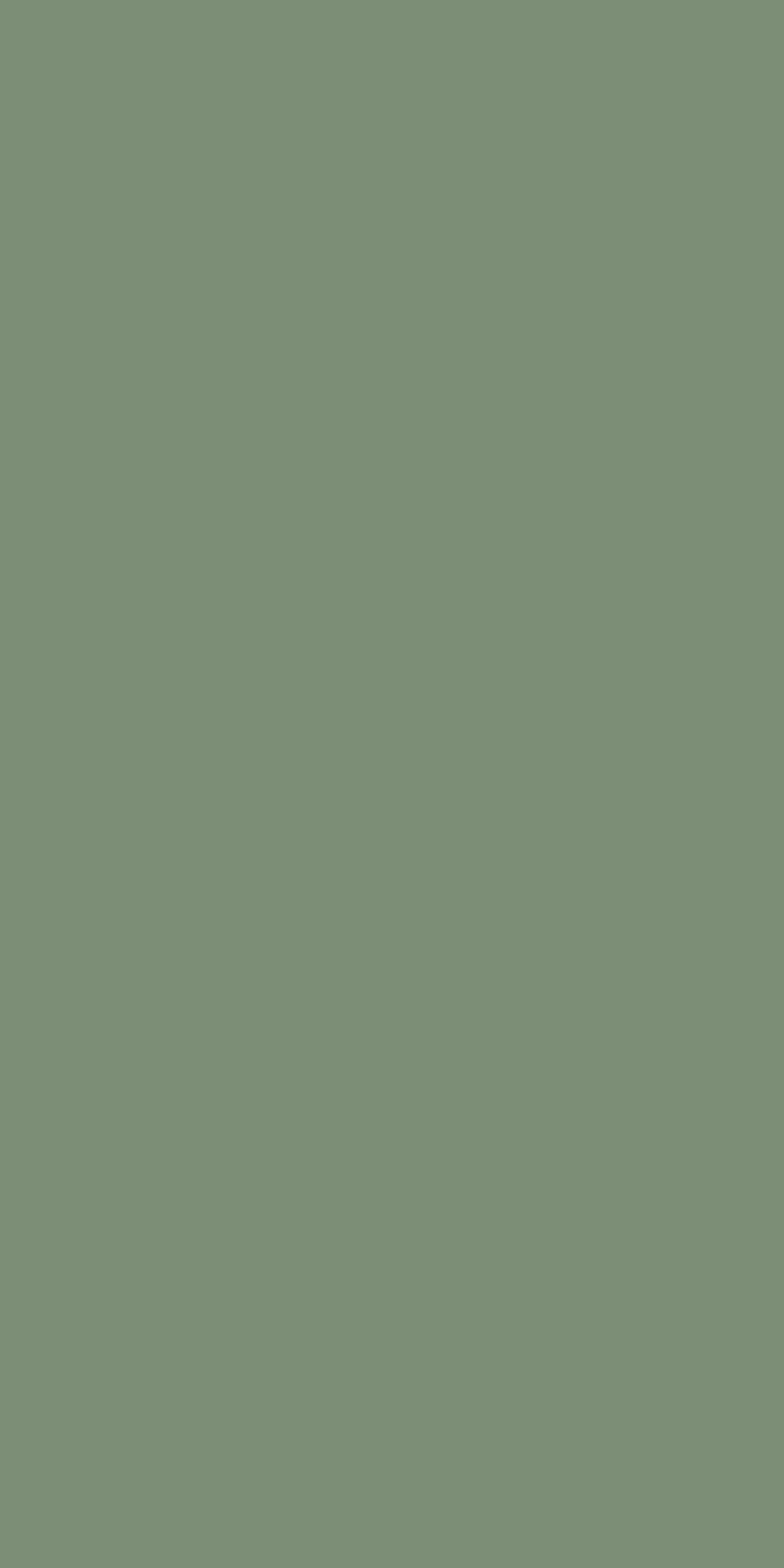 Sage Green -- 808C78