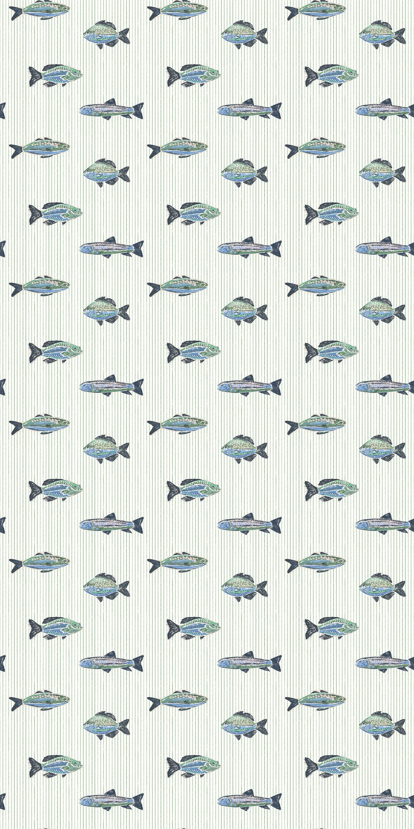 School of Stripes