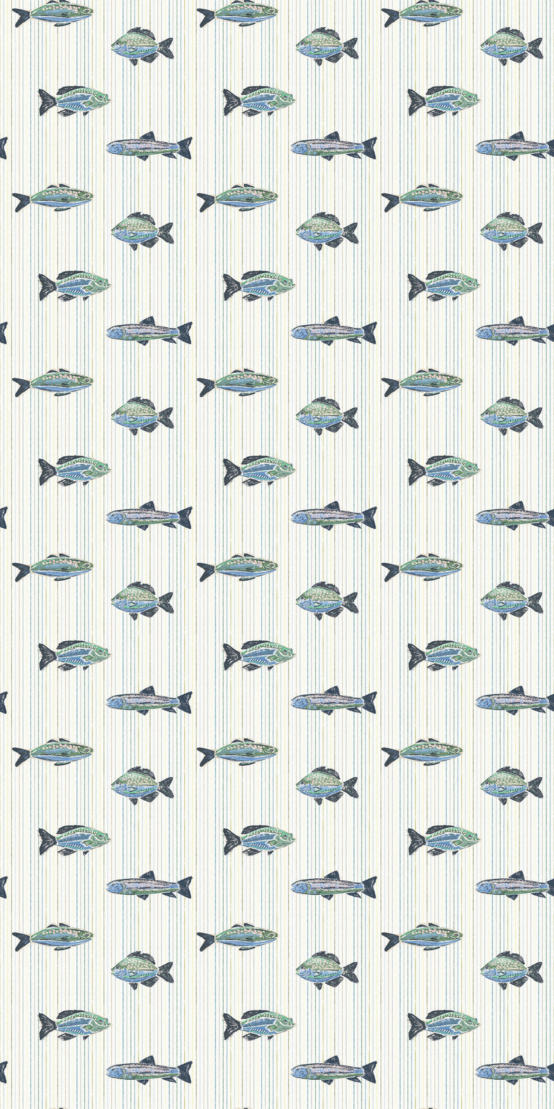 School of Stripes in Blue color