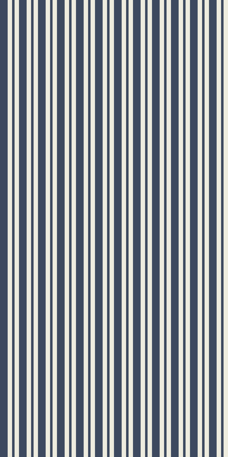 Simple Stripe in Navy color