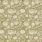 Wildwood-moss