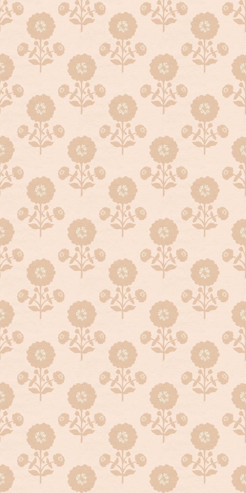 Zinnia in Blush color