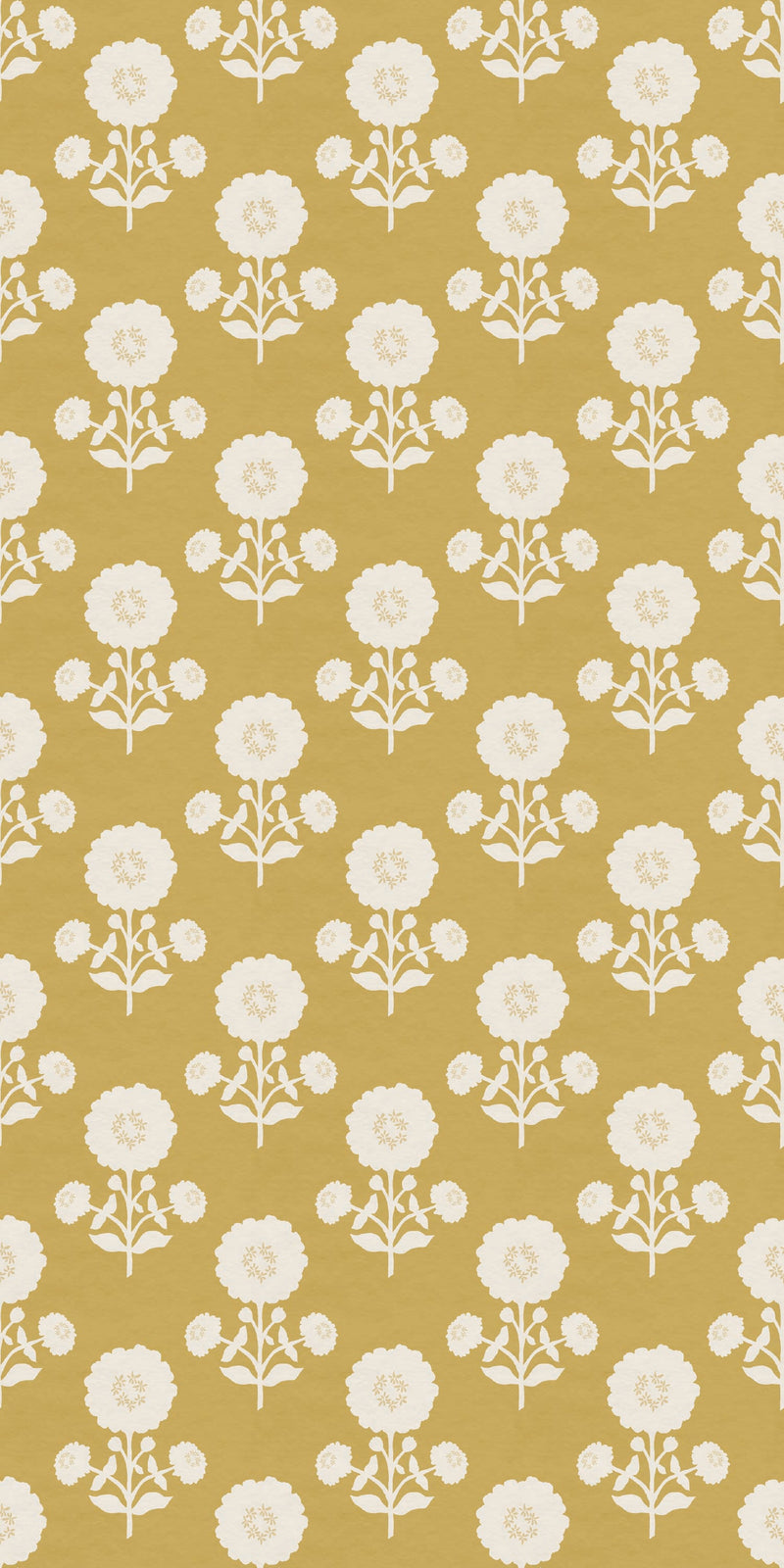 Zinnia in Mustard color