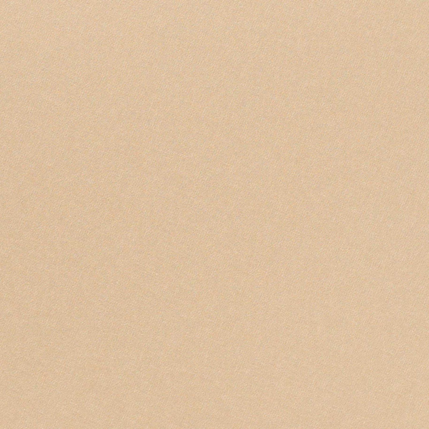 Image of Parchment in Parchment wallpaper
