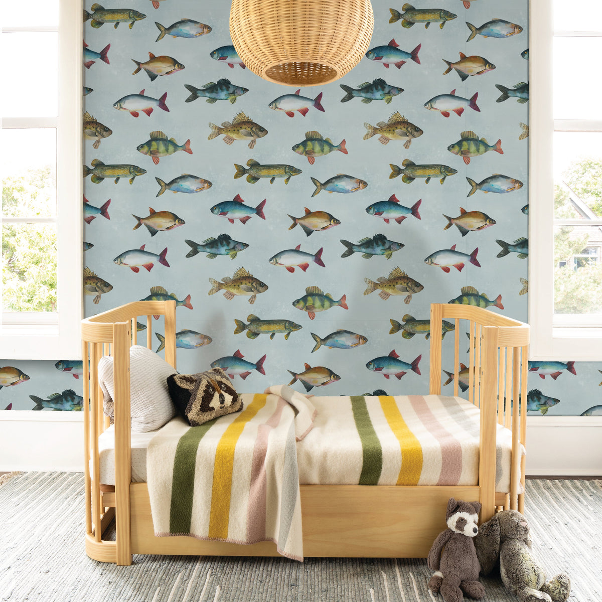Fpaper Fish Freshwater Fish – Chasing Paper