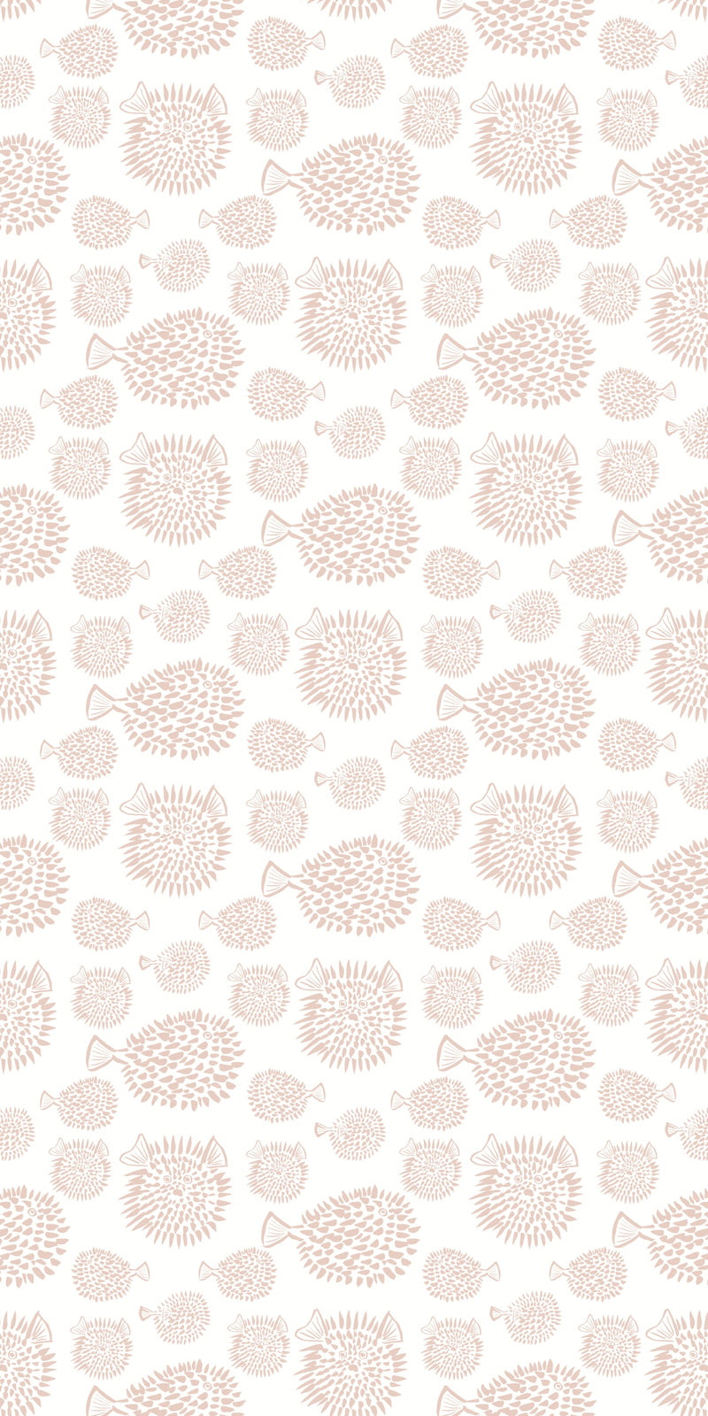 Blowfish in Blush color