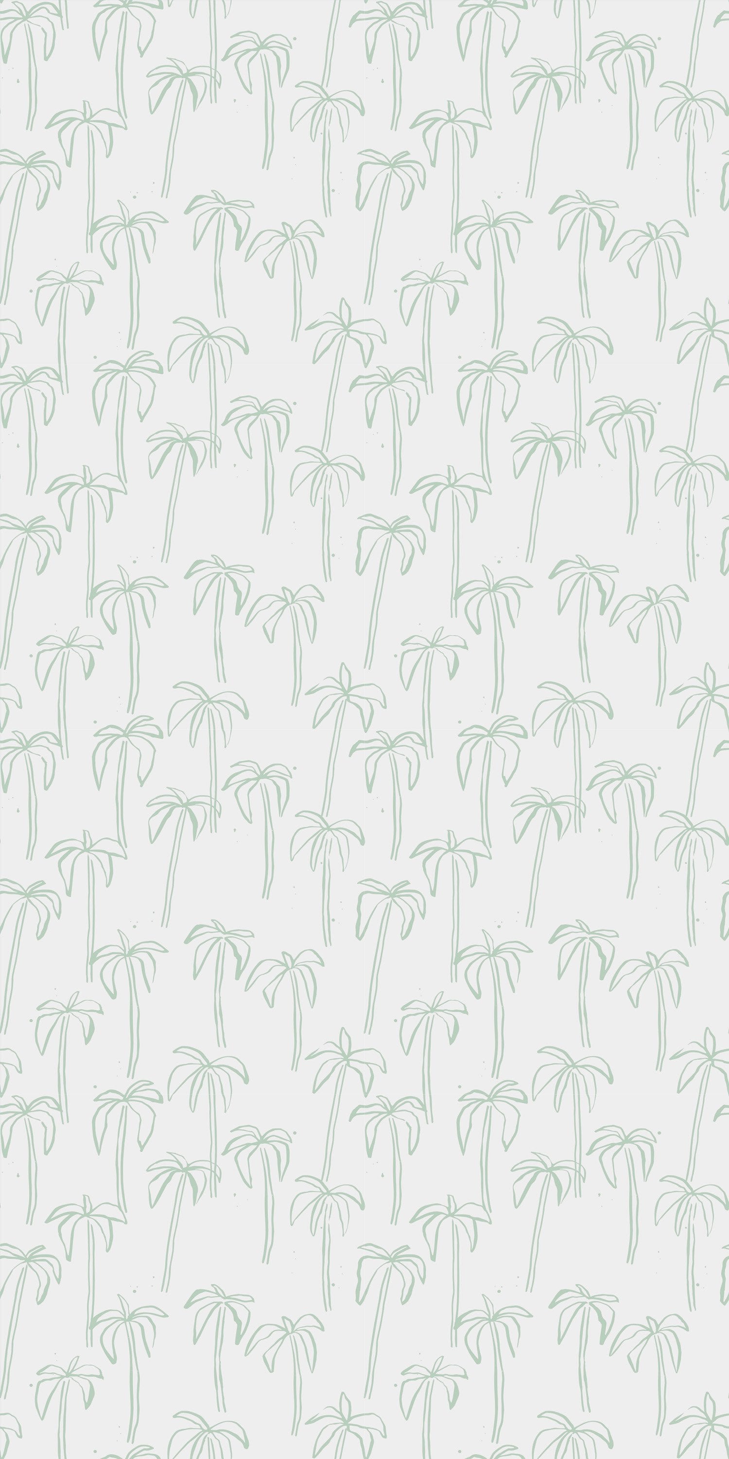 California Palm