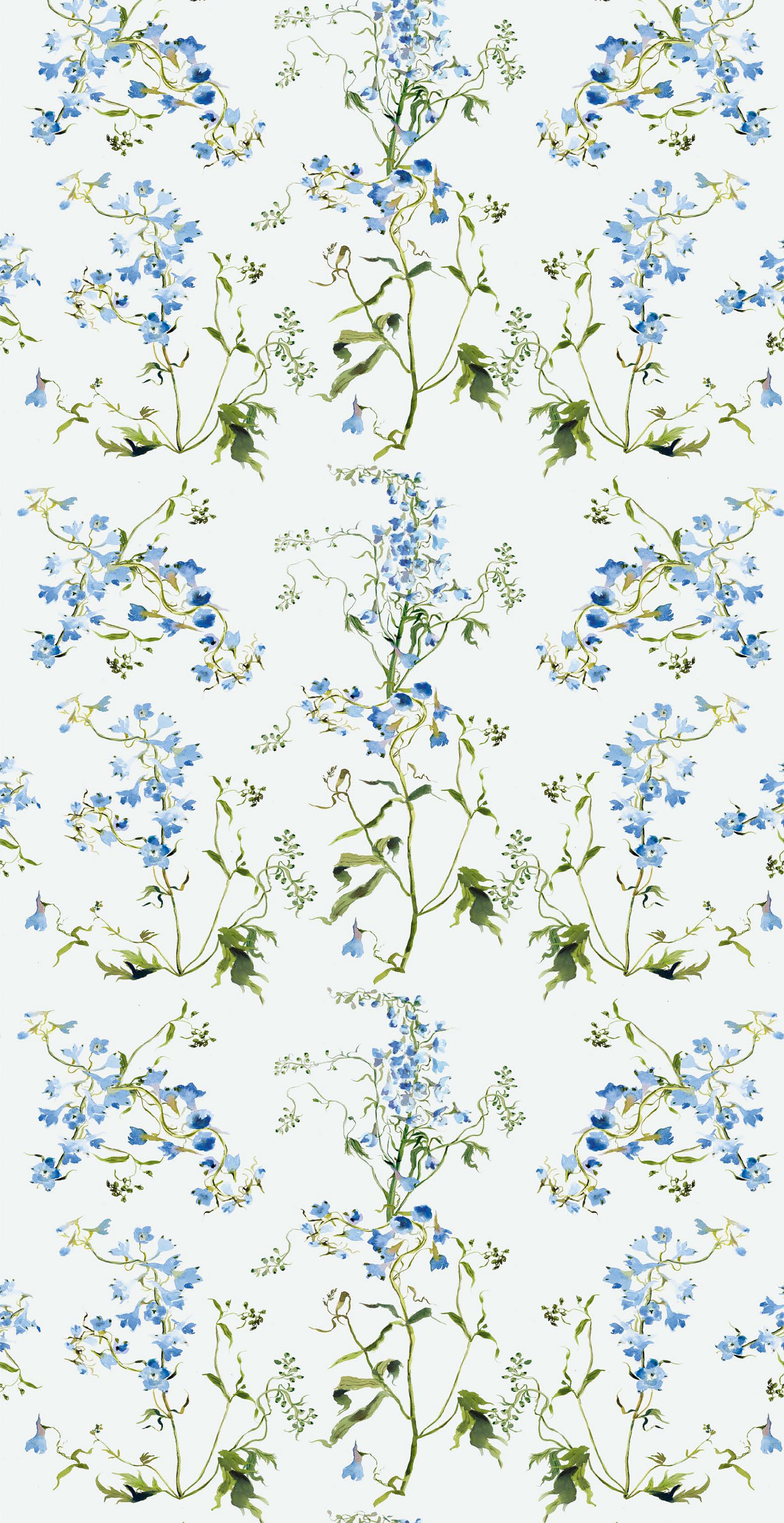 Delphinium