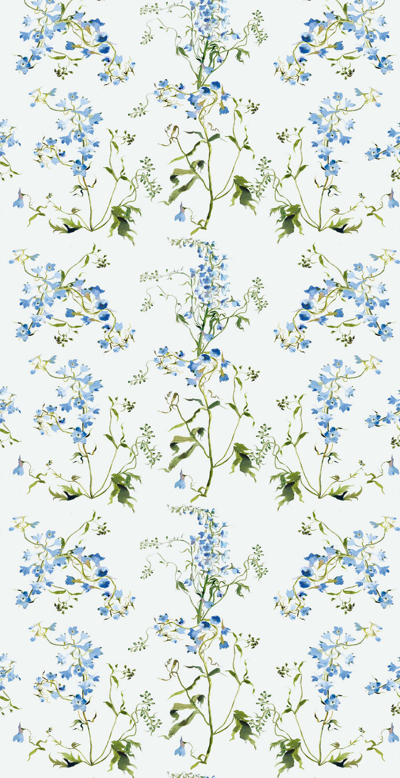 Delphinium in Blue color