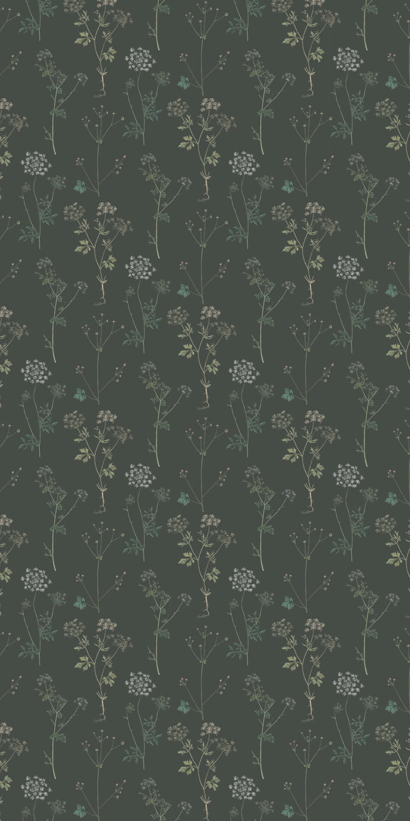Lace in Evergreen color