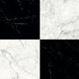 Black & White -- 08080B