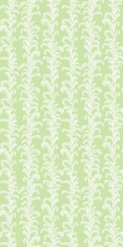 Palm Beach in Green Wallpaper