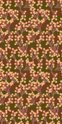 Olive -- 574C14