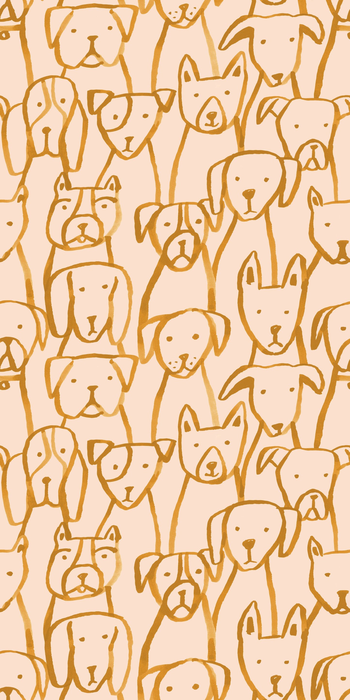 Puppies
