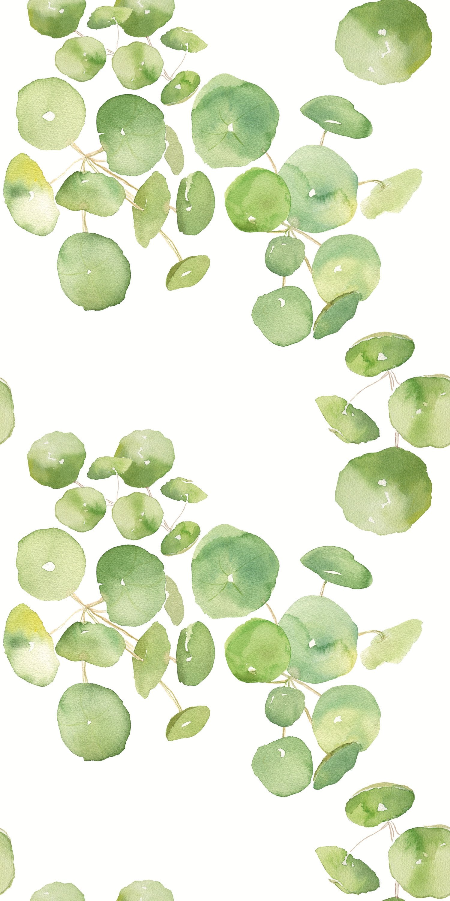 Spring Leaves
