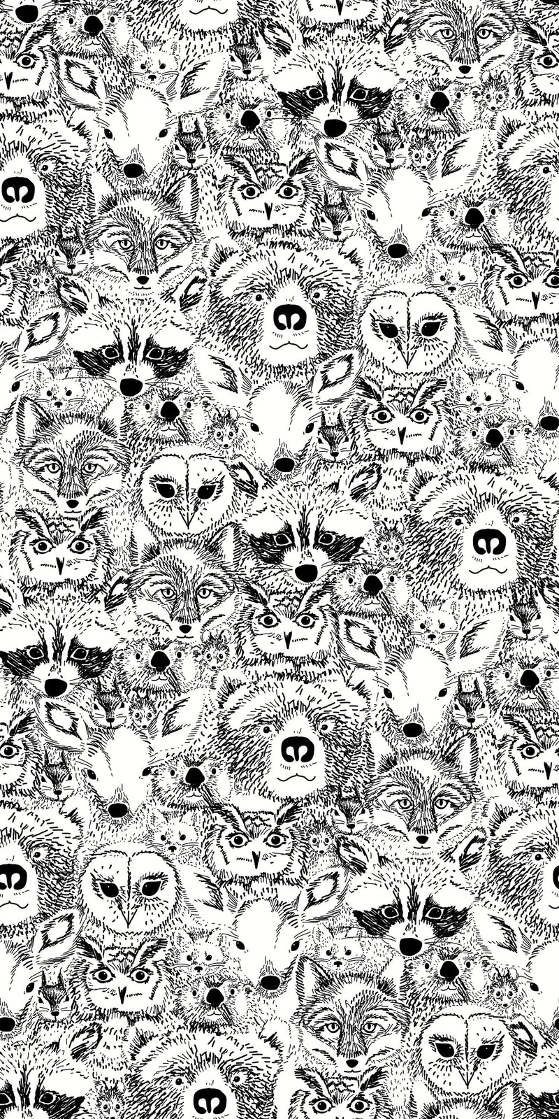 Wild in Black and White color