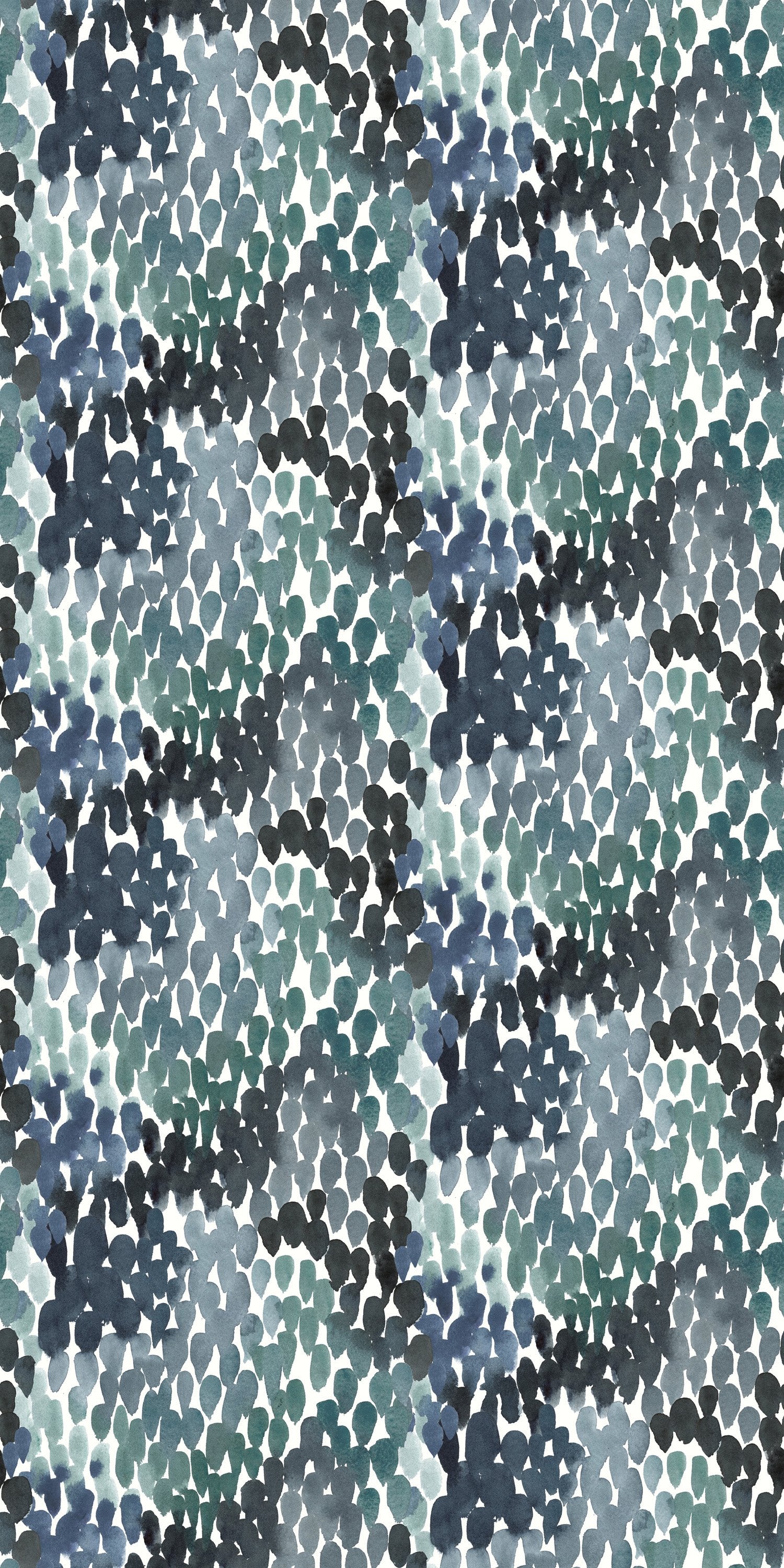 Rapids