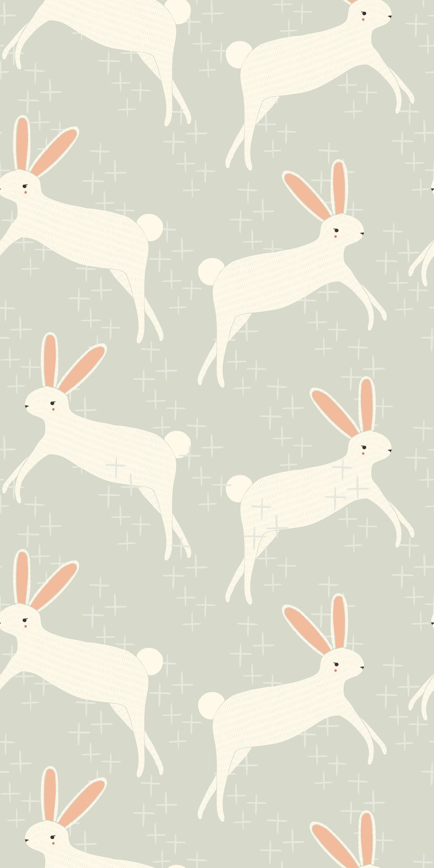 Leaping Bunnies