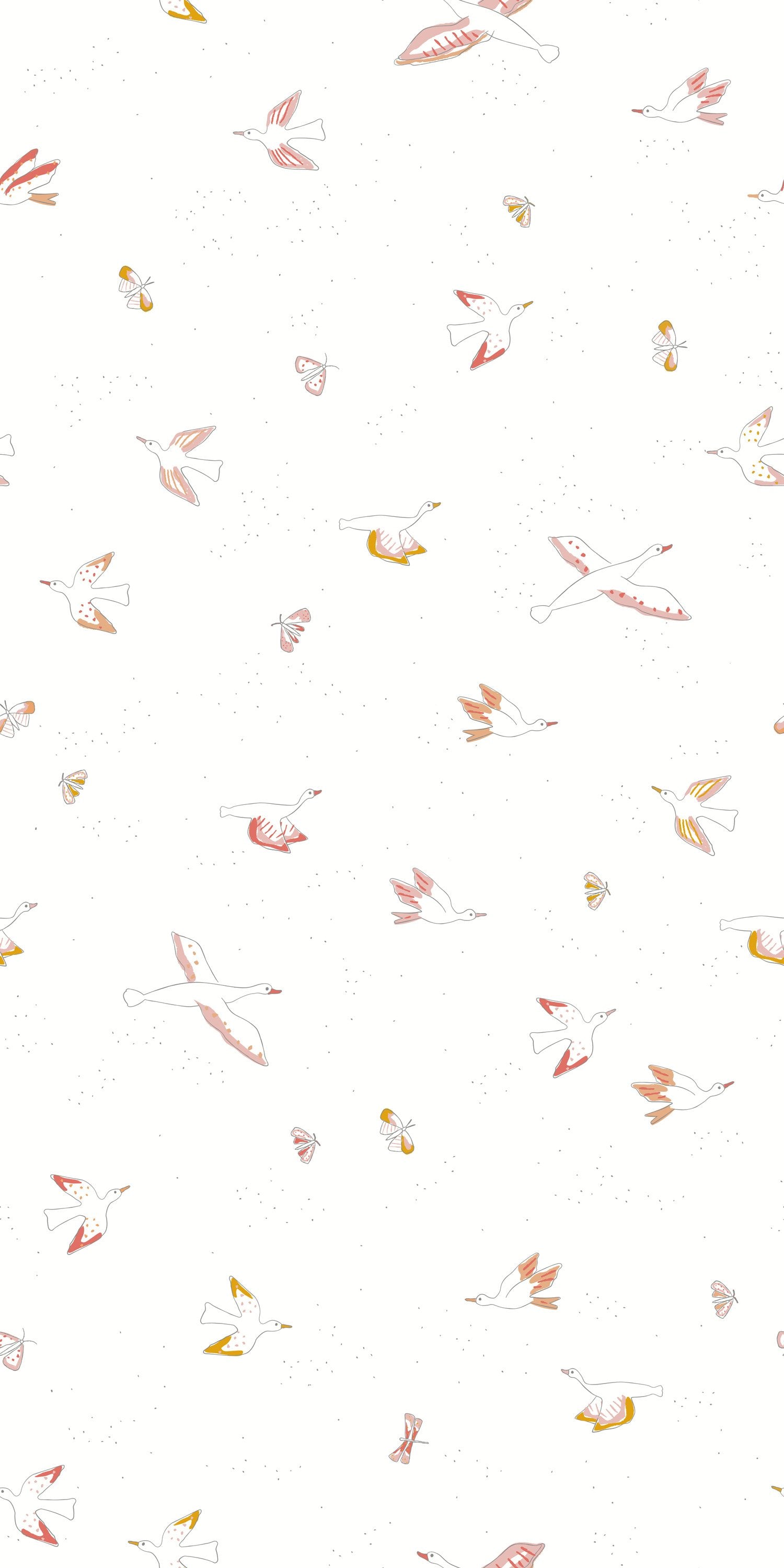 Birds Feather
